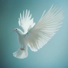 Fototapeta premium White dove in flight, peaceful sky, hope symbol