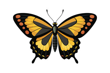 Obraz premium Butterfly Papilio Paris Isolated on White Background