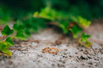 Beautiful Gold Wedding Rings on Natural Background