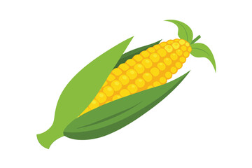 Obraz premium Ear of Corn Isolated on White Background