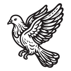 Obraz premium Vector Lines of a Pigeon