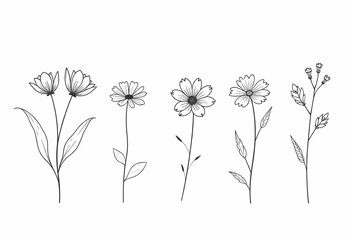 vector illustration of a flower