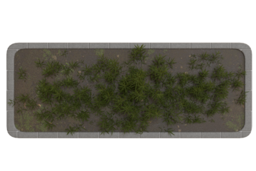 Rectangular planter filled with greenery