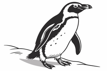 penguin on a white background