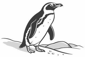 penguin silhouette isolated on white