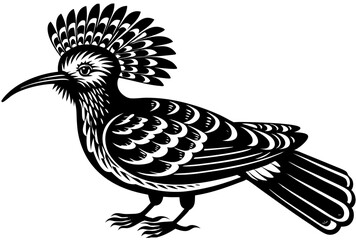 turkey vulture vector illustration
