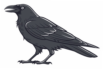 crow on a white background