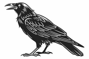 eagle isolated on white background