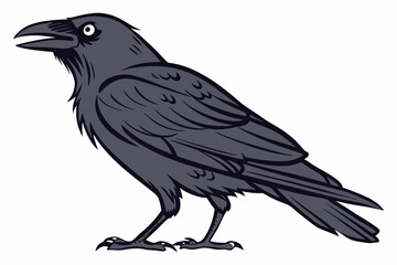 raven on a white background