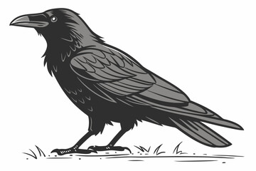 Fototapeta premium crow on a white background