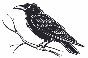 bird on a branch