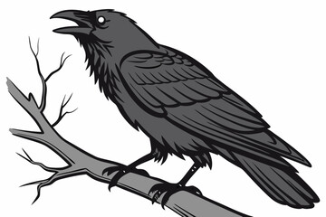 raven on a white background