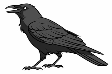 raven on white background