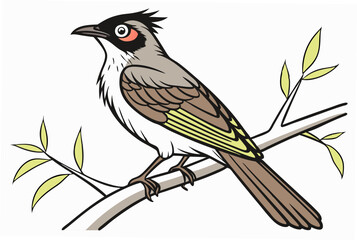 bird on a branch