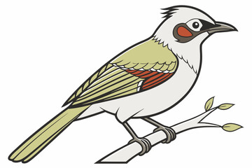 vector illustration of a bird
