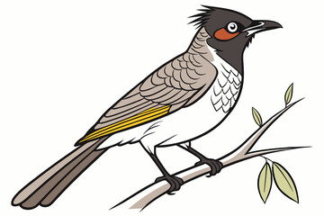 bird on a branch