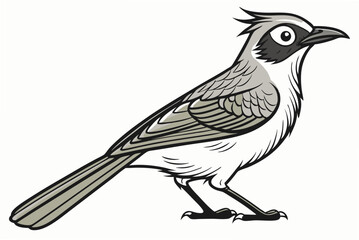 bird on a branch