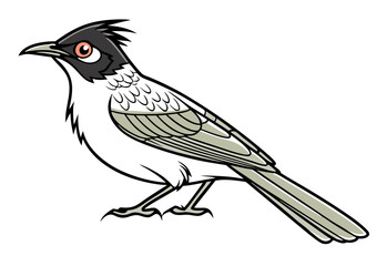 vector illustration of a bird