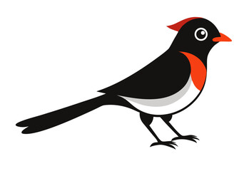 bird on a branch