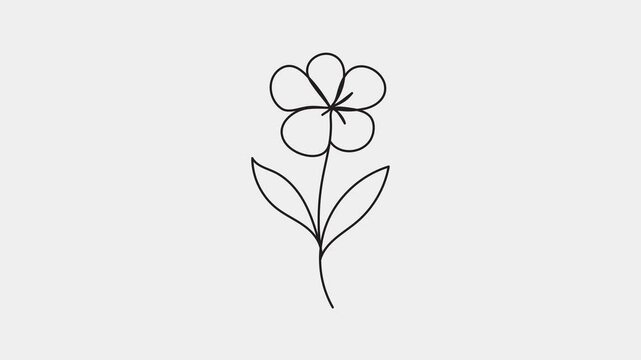 Buttercup, cherry blossom, flax flower Animated self drawing of single continuous one line art draw fresh romantic beautiful rose flower. Black and white flowers illustration.