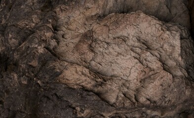 Close-up view of rough, textured rock formations