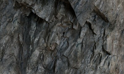 Close-up textured rock face, showing intricate patterns and layers