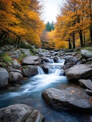 Autumn Stream in Golden Forest - Serene autumn scene, a flowing stream amidst vibrant golden trees, reflecting tranquility, peace, and the beauty of nature's seasonal change. Symbolizing calmness