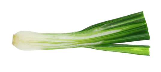 young onion half bulb with green sprouts isolated on white, clipping 