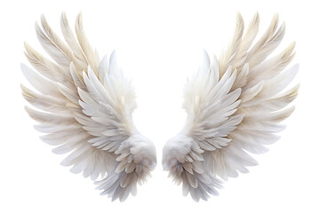 Obraz premium white feather angel wings bird isolated on white background. PNG