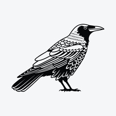 Fototapeta premium American Crow silhouette white background illustration, Generative Ai