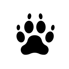 Paw Print Impression: A close-up captures a stark, bold paw print, its shape clearly defined, an immediate symbol of animal presence and track.