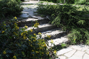 stone steps in the garden