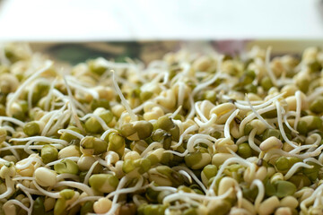 Sprouted mung beans