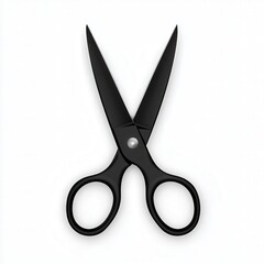 A pair of black scissors with sharp blades and ergonomic handles, positioned on a plain white background.