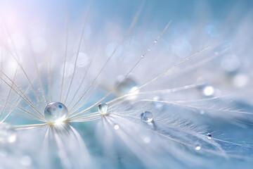 Close-up of a dandelion exhibiting a dreamy and delicate appearance, highlighting the macro details of its white fluffy seeds and the abstract texture of nature.