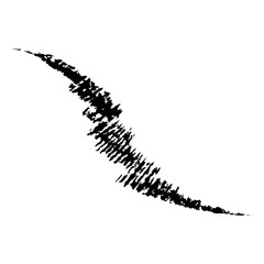 Single brush line vector shape black underline scribble