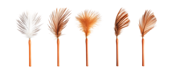 Pack of Feather Duster Against Transparent Background for Cleaning Products, Home Essentials, or Housekeeping Projects