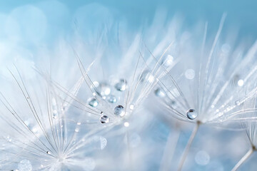 Close-up of a dandelion exhibiting a dreamy and delicate appearance, highlighting the macro details of its white fluffy seeds and the abstract texture of nature.