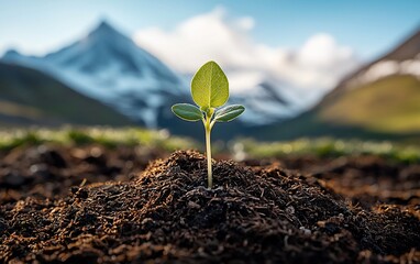 Young sprout emerging from soil, mountains in background