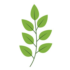 green leaf icon - Vector. with a white background