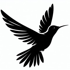Obraz premium Hummingbird Silhouette