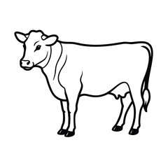 black and white cow