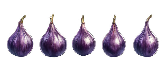 Pack of Fig Against Transparent Background for Food Illustrations, Recipe Projects, or Culinary Designs