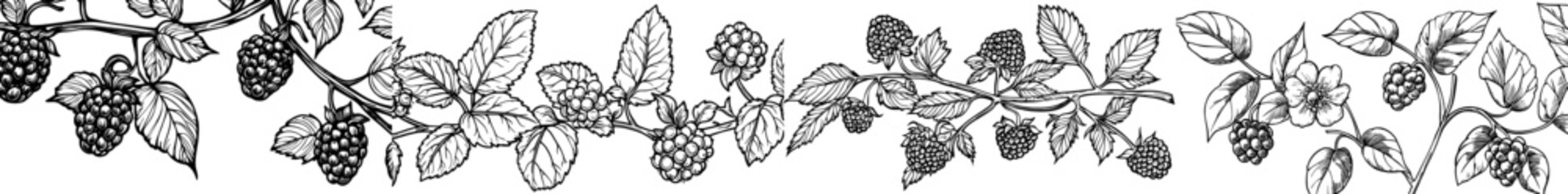 A repeating pattern design featuring blackberries and leaves in black and white silhouette, ideal for botanical and nature themes © Andrei