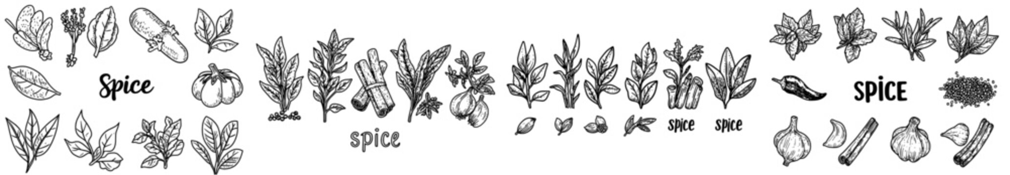 A collection of herbs and spices, including basil, garlic, chili, cinnamon, and other ingredients used in cooking, featuring fresh leaves and dried seeds in a flat modern illustration