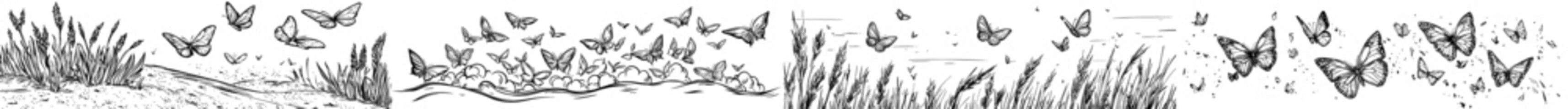 A assortment of butterfly outlines in multiple dimensions, highlighting their dainty wings and elegant soaring