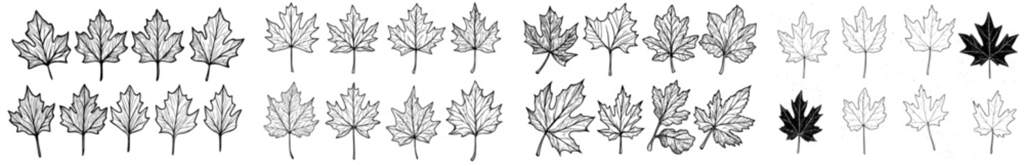 Fototapeta premium A grid arrangement of black silhouette maple leaves, perfect for incorporating into nature-inspired designs and visual elements