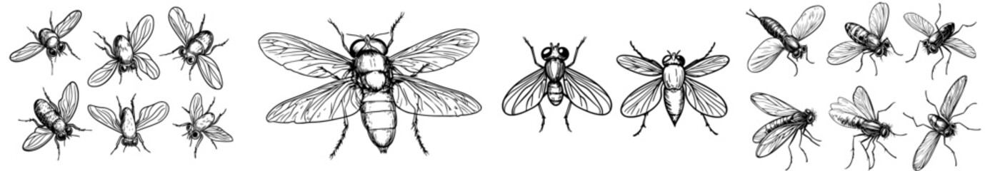 Obraz premium A compilation of bee outlines displaying different poses and angles, perfect for graphic design and illustration tasks