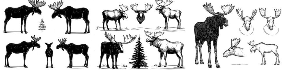 A set of moose outlines in different poses, perfect for designs, illustrations, and artwork centered around nature