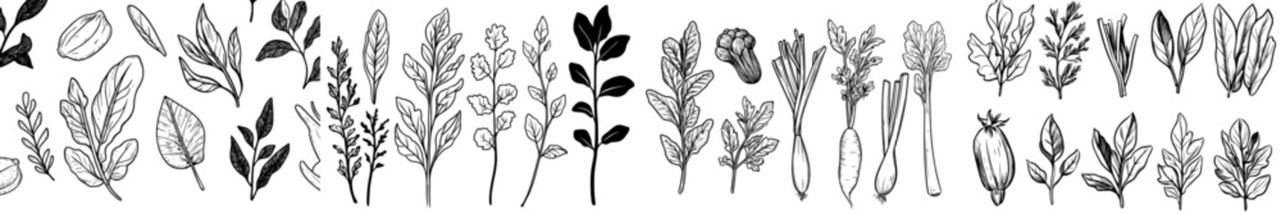 A compilation of silhouette illustrations showcasing a range of vegetables and herbs, suitable for gardening, cooking, and botanical design purposes